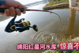绵阳红星河再次开战，一不小心又是河冠，小矶竿珠珠钓法就是爽视频封面