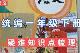 汉语拼音音节到底有没有声调？一年级语文下册教材疑难知识点梳理视频封面