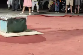 广东大黑耗子见过没？视频封面
