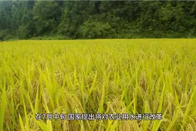 水价新规来袭，水价又有新变化，居民用水会涨价吗？10月起实施视频封面
