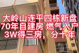 大岭山连平小产权房，四栋小区，3W得114平三房，可按揭十年视频封面