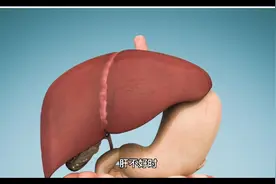 肝不好的人，脸部会出现的四大特征表现？视频封面
