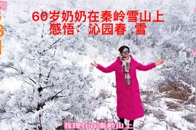 60岁奶奶在秦岭雪山上感悟毛主席诗词：沁园春.雪视频封面