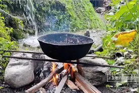 尼泊尔小哥在丛林中寻找寻找珍贵美食，弄到了一大盘，味道美极了视频封面