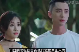 警犬意外救了小女孩一命，却反被诬陷，结局却让人感到意外视频封面