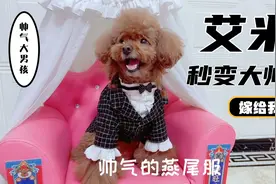 艾米当模特的第四天，秒变帅气大男孩，有没有想嫁给它的，哈哈视频封面