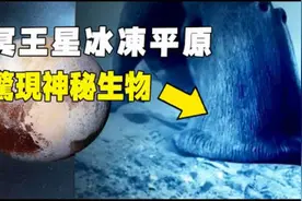冥王星驚現神秘生物，擁有大象體格、緩慢爬行，科學家毛骨悚然！视频封面