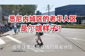 悉尼内城区的老华人区是亇啥样子？视频封面