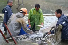 垂钓园这样经营年赚百万不是梦！视频封面