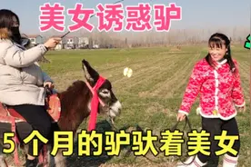 两女人在没人的田野里骑驴，突然遇到男子拦截，女子上去就打视频封面