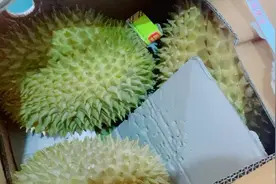 山东临沂水果批发市场榴莲卖到9.9元一斤，一起来看看为什么便宜视频封面