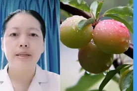 李子的功效