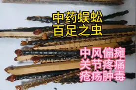 中药蜈蚣，中风偏瘫关节疼痛疮疡肿毒视频封面