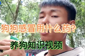 养狗知识～狗狗感冒多种用药方法分享视频封面