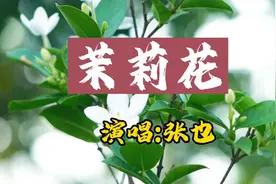 歌唱家张也演唱江浙民歌《茉莉花》江南烟雨，江南风光，好听极了视频封面