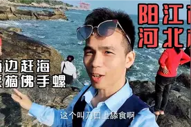 阳江市河北村海边，赶海采摘佛手螺，熊孑桀旅拍探寻美味海鲜