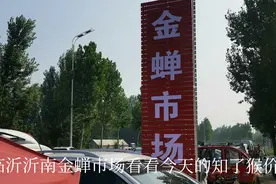 六月二十四，临沂沂南的知了猴市场又热闹了，看看今天什么价格！