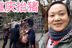 重庆人抬猪方法很多，每一种都稳当简单，想学就点前面视频看视频封面