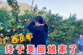 姑娘远嫁广西8年，老公第一次带她回娘家，看看给娘家多少钱视频封面