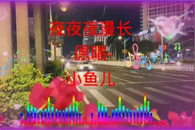 夜夜夜漫长原唱小鱼儿只羡鸳鸯不羡仙夜夜漫长思念的又是谁？视频封面