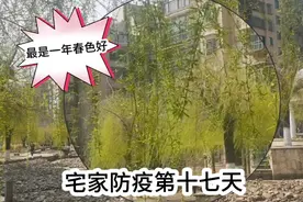 唐山人抵御疫情最后的攻坚战，清明节还体验了下冰火两重天的气候视频封面