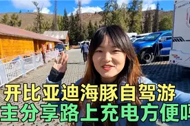 小伙开比亚迪海豚自驾游，无奈要回家。听听电车路上充电方便不视频封面