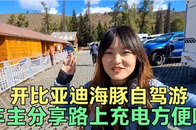 小伙开比亚迪海豚自驾游，无奈要回家。听听电车路上充电方便不视频封面