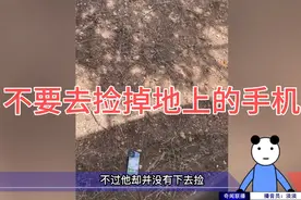 不要去捡掉在地上的手机！视频封面