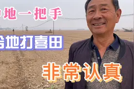 一亩地讲三十五斤麦种，今年讲麦晩半个月视频封面