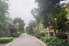 在成都新津花源10号线地铁口.独栋别墅实得才9000一平，花园100平视频封面