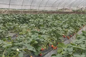 没有资本，但要有资本意识。富人思来年，穷人思眼前。视频封面