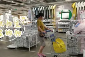 60岁阿姨自驾游途经沈阳，逛宜家花254元购物，单身生活真潇洒视频封面