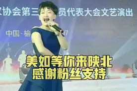 山也美水也美信天游唱的心儿醉，谁来陕北都不想回，马美如等你来视频封面