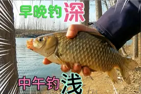 筏竿串钩钓板鲫，早中晚的选择不一样，要利用鱼的趋温性！视频封面