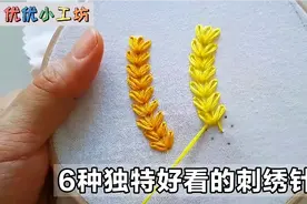 刺绣老手也很少知道的6种针法，搭配缝制好看又经典，收藏了视频封面