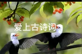 描写风景的古诗词两首视频封面