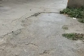 河南周口商水县郝岗镇，腰间腿疼脖子疼治疗视频封面