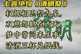 七言绝句《清明祭》@中视频伙伴计划官号 原创诗词视频封面