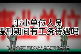 事业单位人员被判处缓刑期间有工资待遇吗？视频封面