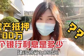 林泠说：在武汉，在银行房屋抵押100万 一个月利息有多少？视频封面