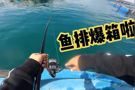 深圳鱼排矶钓 只要方法用的对，鱼排也能钓爆箱（上）视频封面