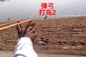 抹布哥尝到甜头，麻雀烤肉味道不错，今天又来打鸟，给自己加肉视频封面