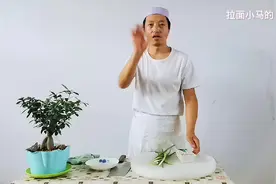 小葱拌豆腐，一清二白，在加做简单又好吃，鲜嫩爽口视频封面