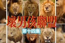 坏男孩联盟剧情解说第十四集 由于人为干预，坏男孩痛失两名成员