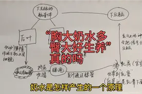 宝妈纯母乳喂养那些事！“胸大奶水多，臀大好生养”是真的吗？视频封面