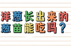 洋葱发芽长出类似葱一样的可以吃吗？是否有营养价值呢？#涨知识#视频封面