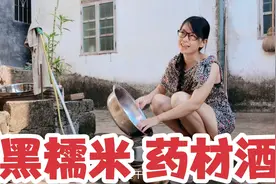 民间补气血的黑糯米药材酒是怎样泡制的？华玉和大家一起学制作