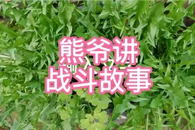 战火中的二连炊事斑视频封面