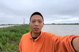 60亩鱼塘：出了12万斤鱼！放苗比例如何搭配，才能达到最高产量？视频封面