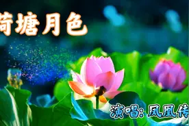 经典回放《荷塘月色》歌词唯美，歌声柔和悠扬婉转，浓浓中国风…视频封面